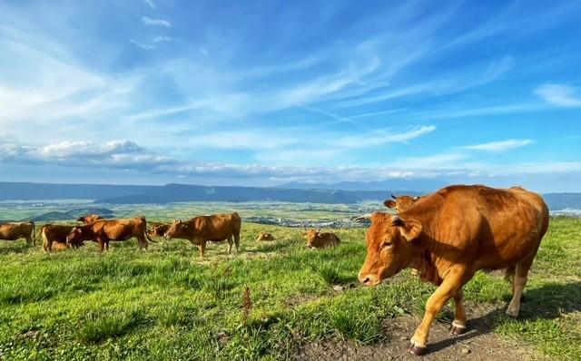 日本の国立・国定公園の課題とこれから