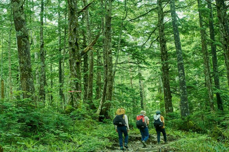 5.png プレースホルダー