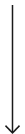 次へ